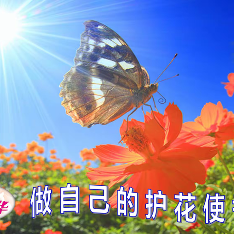 花花作文3｜《独孤九剑之破景式——做一名自己的护花使者》