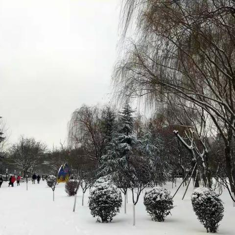 2018年第一场雪。