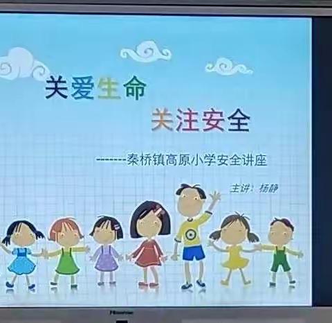 关爱生命，关注安全 —— 秦桥镇高原小学安全讲座