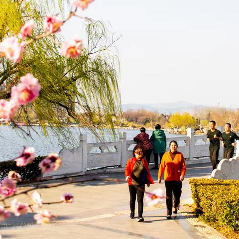 观花赏春正当时