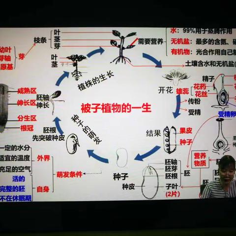 明方向、重基础、强能力——海口七中初二年级生物组中考备考纪实