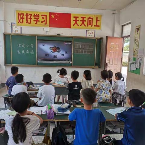 刘庄小学禁毒活动总结