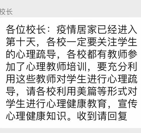 强者荣耀，病毒快逃——高川乡王码头小学心理健康疏导工作展示