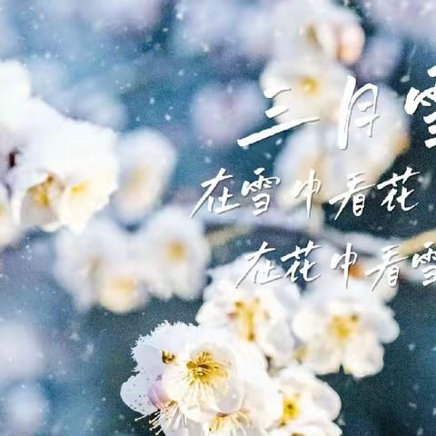 🌱 心若向阳花自开，心若向暖清风徐来——泗洲第一幼儿园第六周工作日志（3月13日—3月17日）