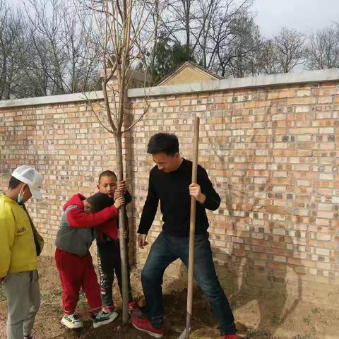 拥抱春天 呵护绿色——秋峰初小师生开展植树美化校园活动