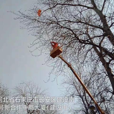 2023年第一个凌晨 环卫工举长杆摘气球