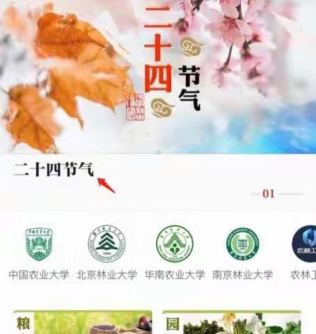 【教你用强国】四季轮回，最美不过二十四节气