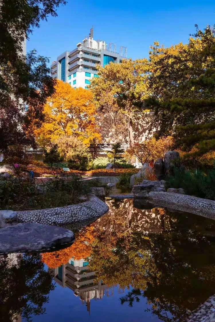 中央社会主义学院