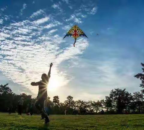 “病毒”再凶，安全不松——彭州供电公司“电医生”抗疫临时党支部系列活动