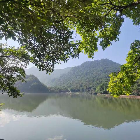 抓落实需关注“操作层面”