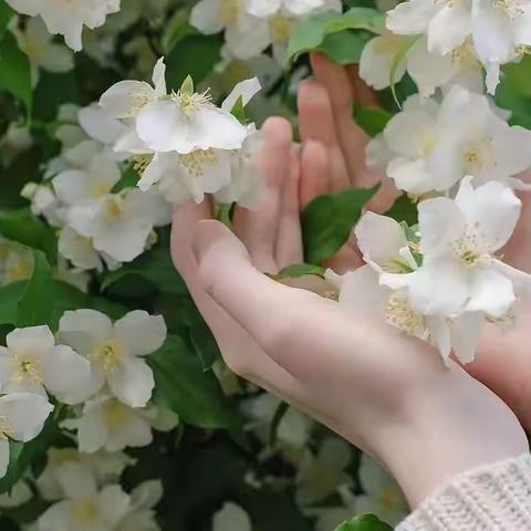 致意TODAY