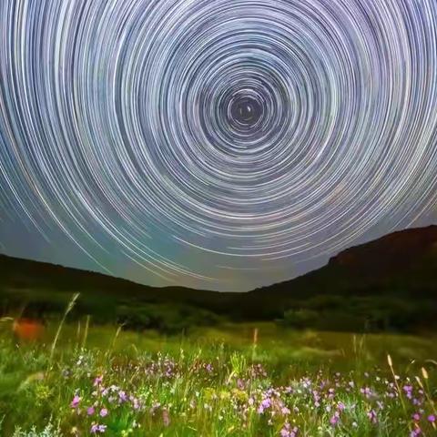 草原的光