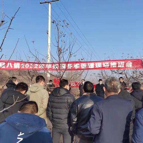 旦八镇召开冬季果园管理现场推进会