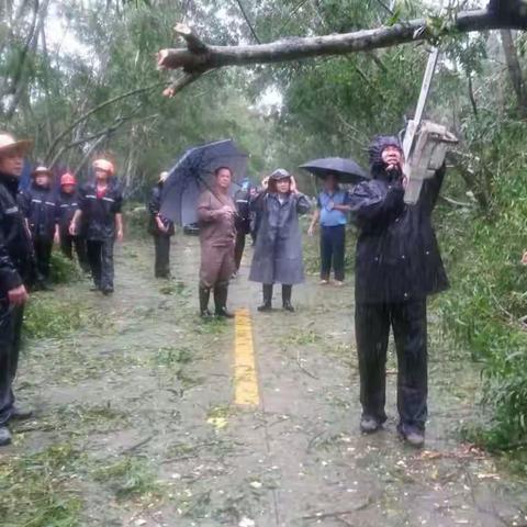 南水公路中断 林业局冒雨清障