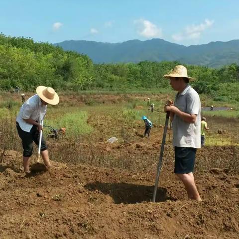 番阳村抓紧备地耕种