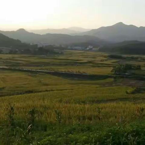 秋色番阳