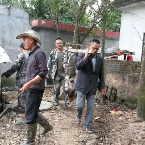 党员先锋队继续发力 齐心协力建美丽乡村