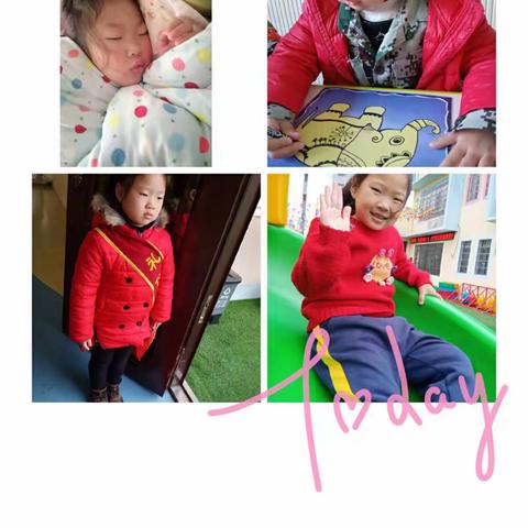 大班上学期期末汇报。