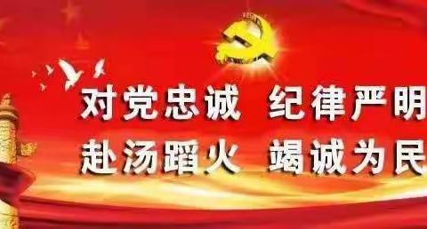 特殊荣耀——武义县柳安应急救援队招募令