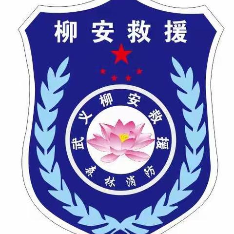 马蜂窝摘除纪实，确保社区居民生活安全