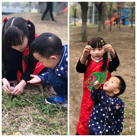 一六班·第四小队——植树节活动