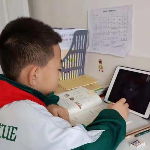 安国市向阳小学平觐玺同学的快乐学习生活