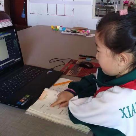 安国市向阳小学朱延延同学的快乐学习生活