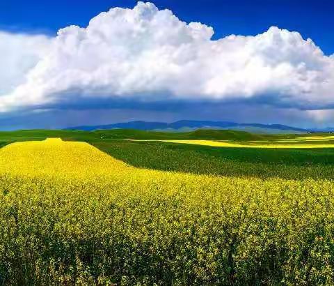 我们心舞飞扬，我们的心理第二课堂