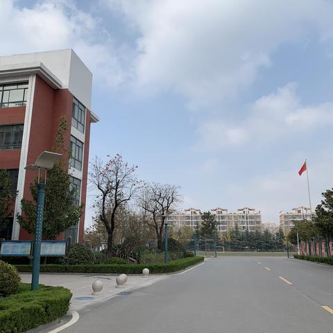 心若芬芳，暗香自来——记2019年度临沂市直中小学心理健康教育第四次教学联研