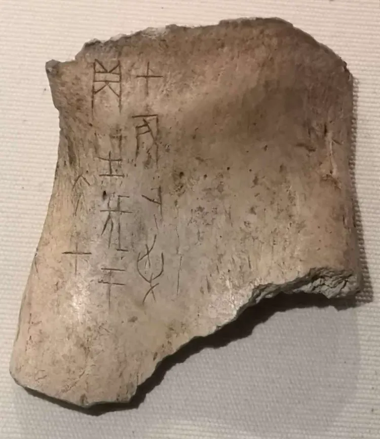 《甲骨文记忆》参观留言