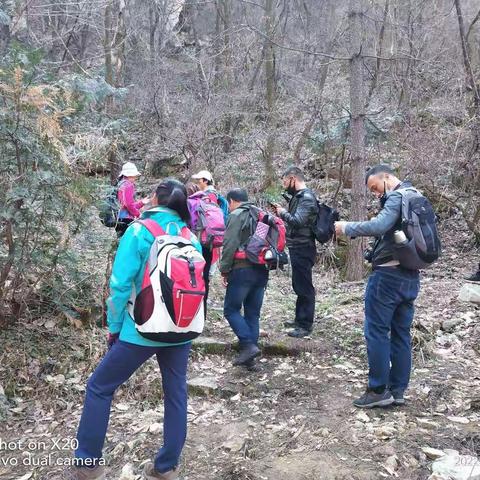 20220313徒步登顶九鼎万花山，植被丰厚，🌲森林繁茂，行走于寂静山林，群峰竟秀，云涌峰翠，景象万千……