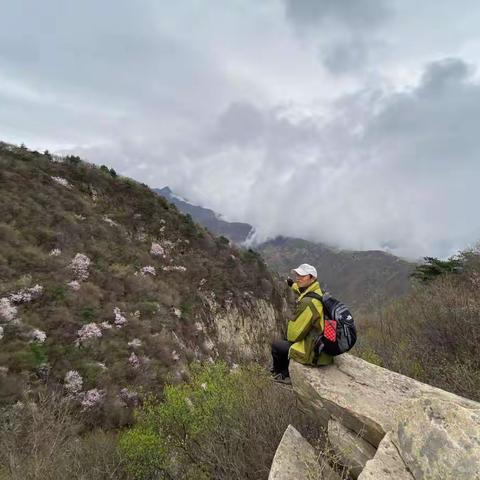 20220319雨后徒步三凤山赏山花、观云海