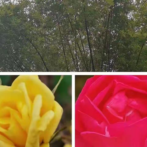 万物复苏，春暖花开，我们不停脚步，扬帆起航