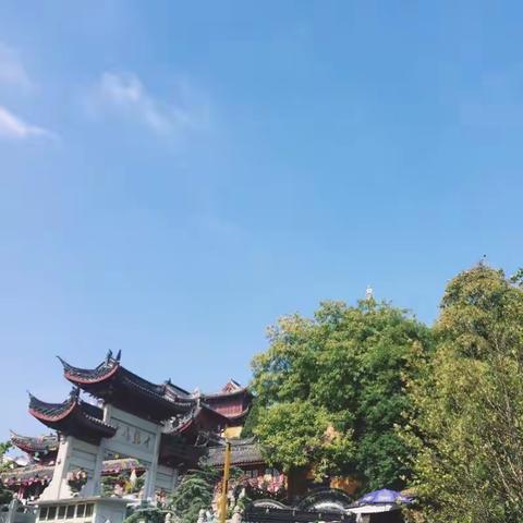 嗨，我们是星星中队✨