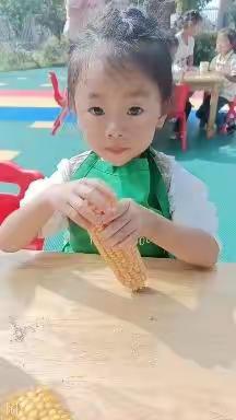 贾滩槐树李幼儿园自然课程——《玉米》