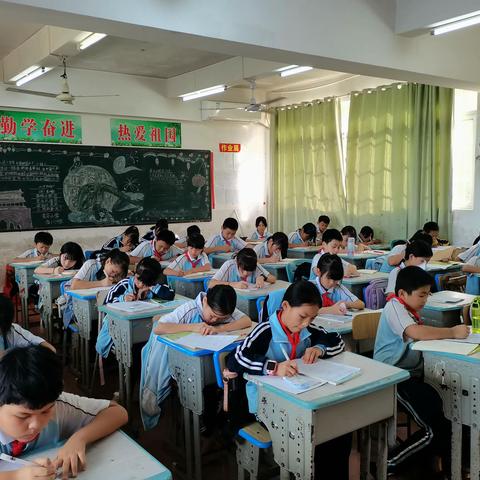美安小学第五周美篇