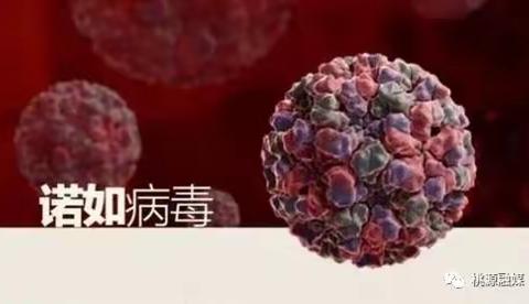 莲花幼儿园温馨提示：近期诺如病毒感染高发，建议这样预防