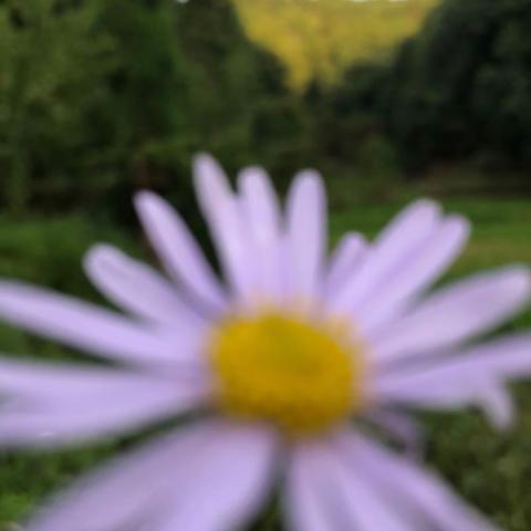 我心向党快乐成长