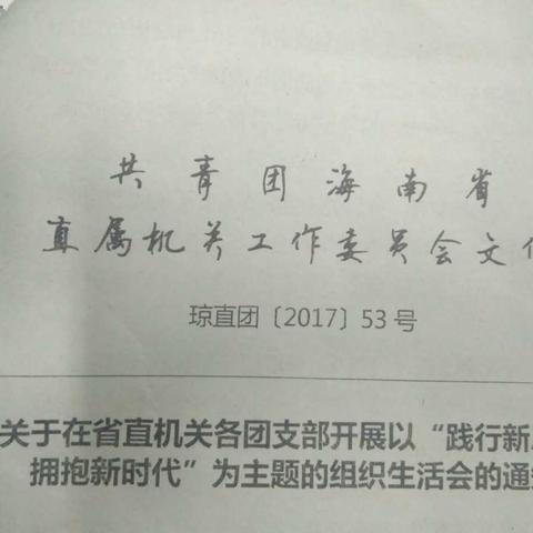 高二年级各班开展以“践行新思想，拥抱新时代”为主题的的组织生活会