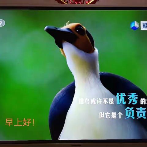赵坤科的美篇