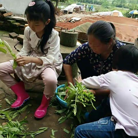 劳动最光荣