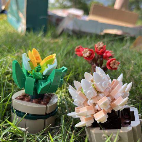 乐高小盆栽拼拼乐-“书香大地”书友会第四期读书活动