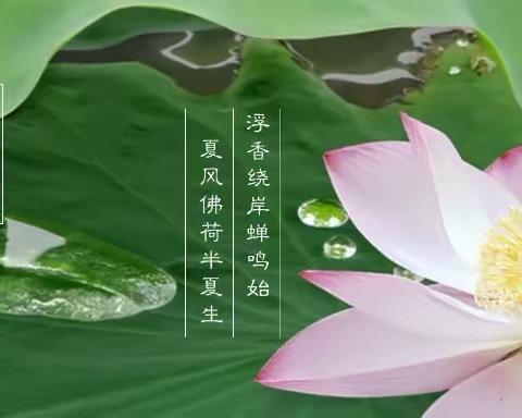 娇子幼儿园夏至美篇——夏至而至，美好如约而至