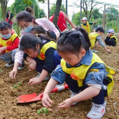 种植园里的春夏秋冬 — 春的篇章