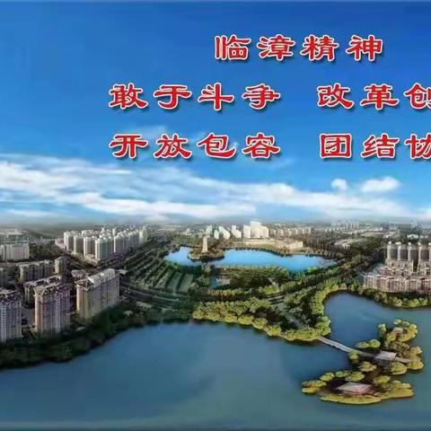 11月8日工作纪实