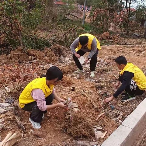 净化校园，美化环境，团旗在飘扬——南雄市全安中学开展共青团及志愿者清洁校园活动