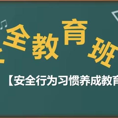 安全月《安全伴我成长》主题班会