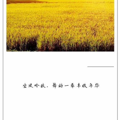 同气连枝抗疫情，共盼丰收传佳音