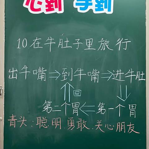 关注学生，扎实教学