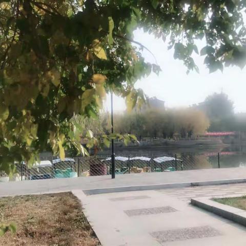美就在脚下